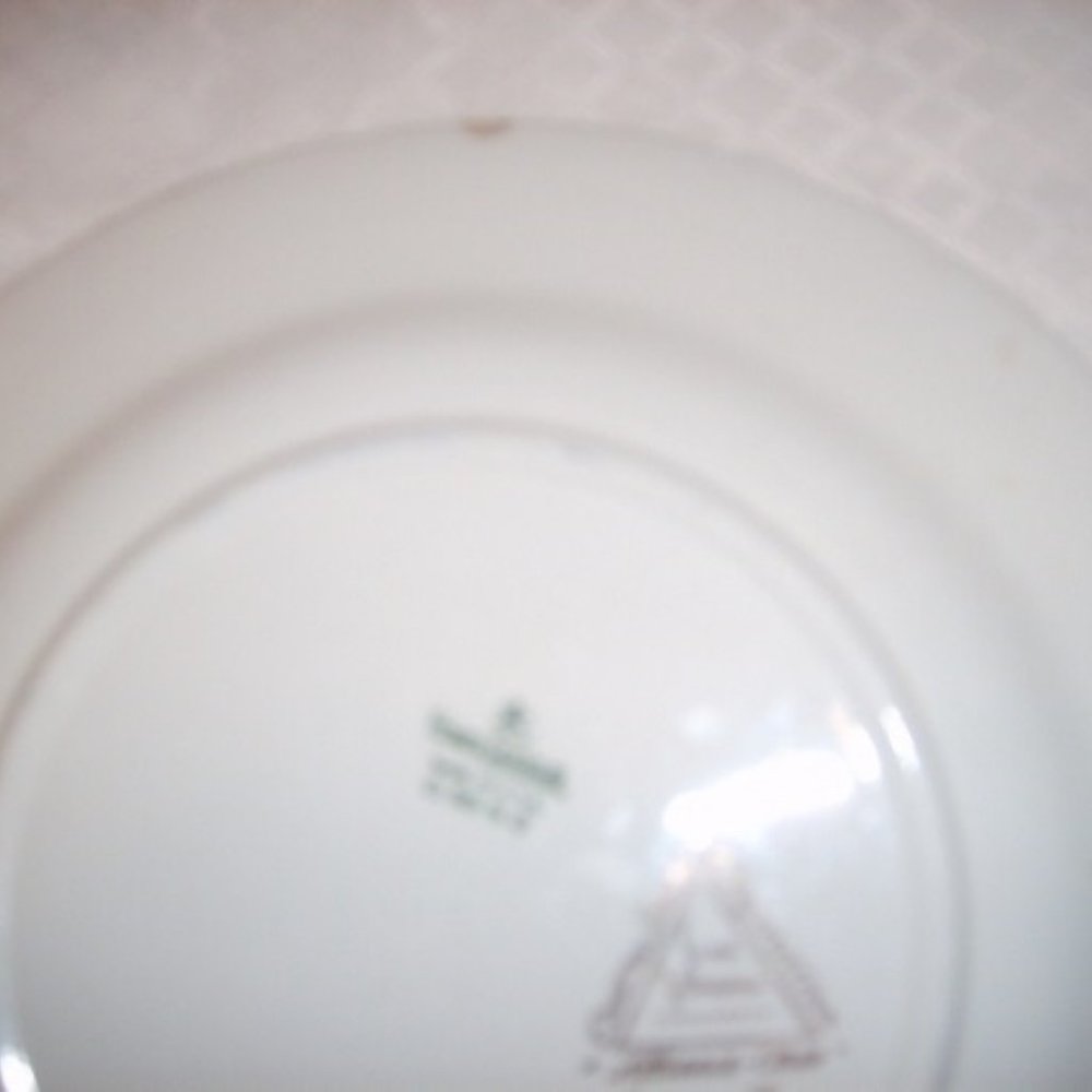 Beautiful Plate 10" Platter/Dinner Homer Laughlin Semi Vitreous Dinnerware Peony - Picture 4 of 4